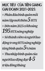 Tiền Giang tiếp lực phát triển HTX kiểu mới - Ảnh 2.