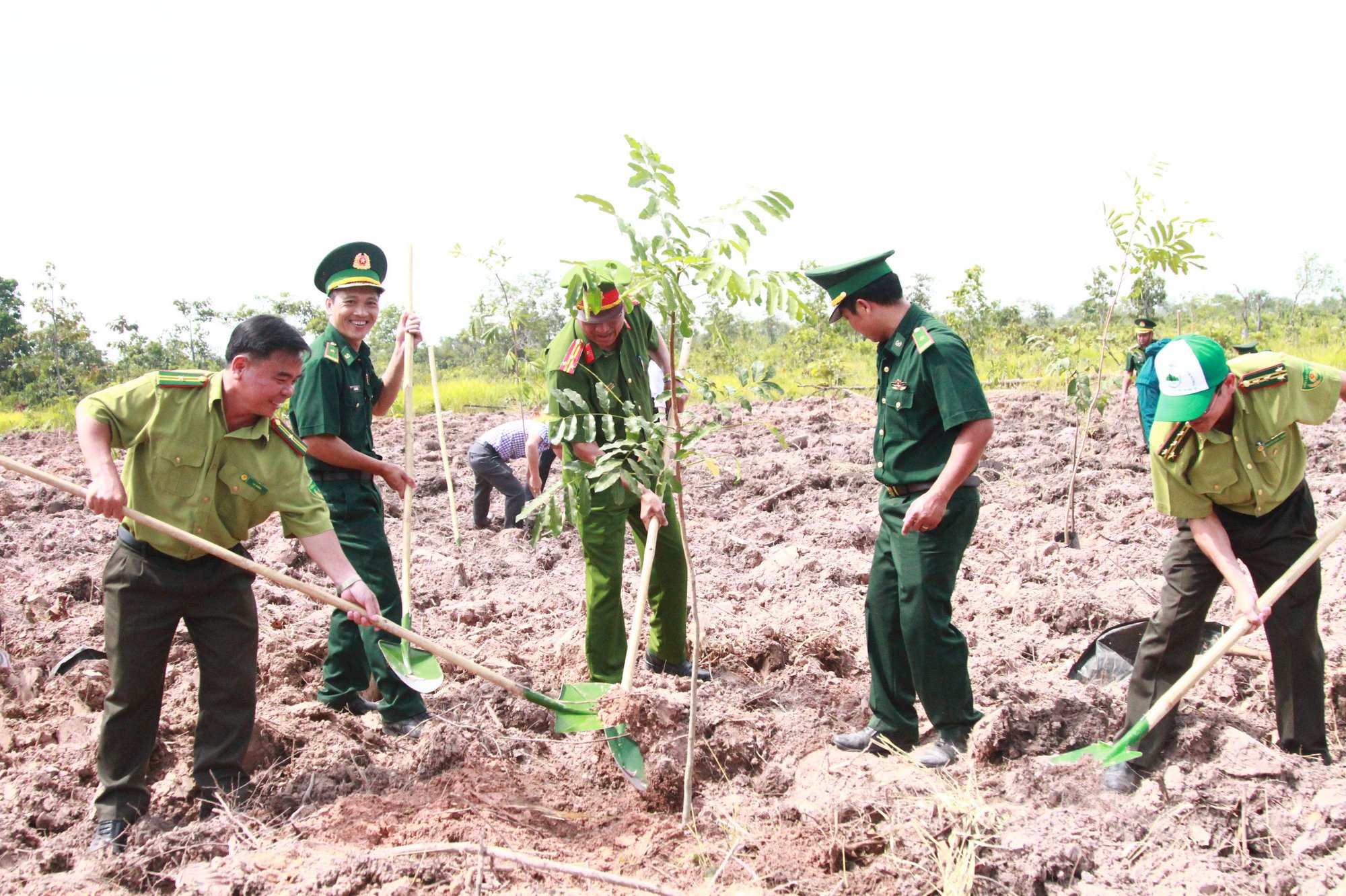 Đắk Lắk: Tăng cường công tác quản lý, bảo vệ và phát triển rừng - Ảnh 2.