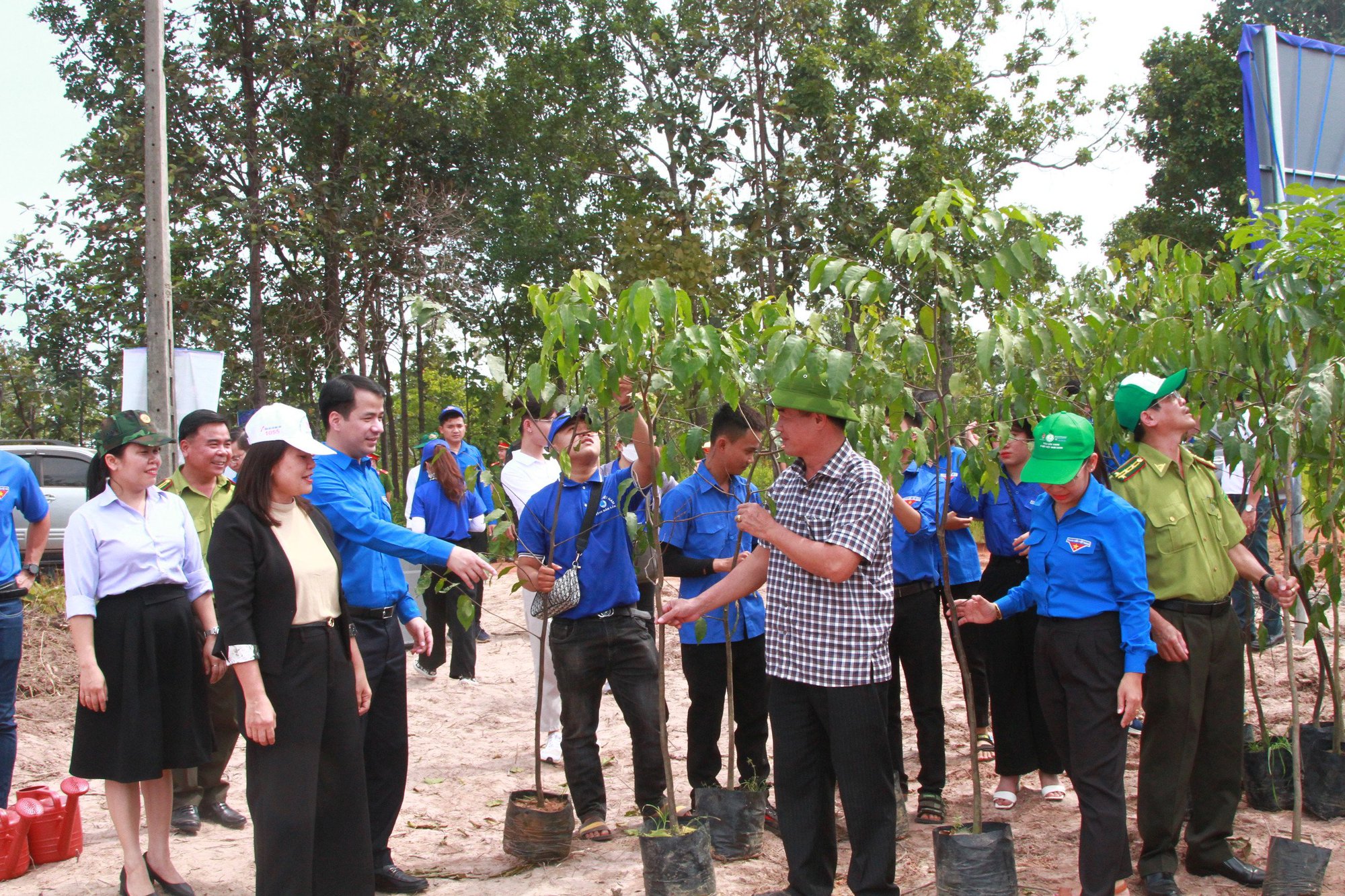 Đắk Lắk: Tăng cường công tác quản lý, bảo vệ và phát triển rừng - Ảnh 3.