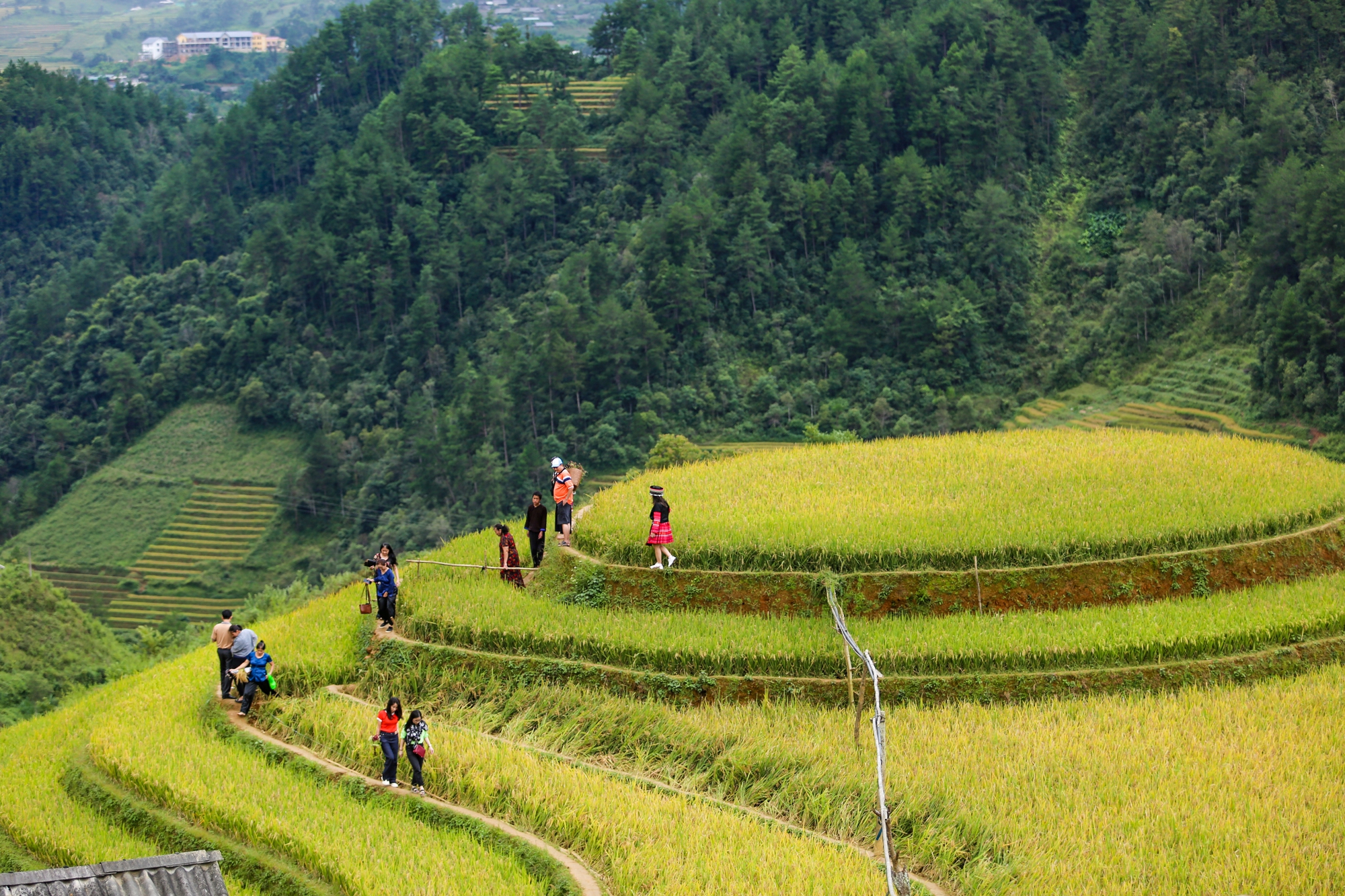 Khách tây, khách ta chen nhau chụp ảnh mùa vàng tại Mù Cang Chải - Ảnh 7.