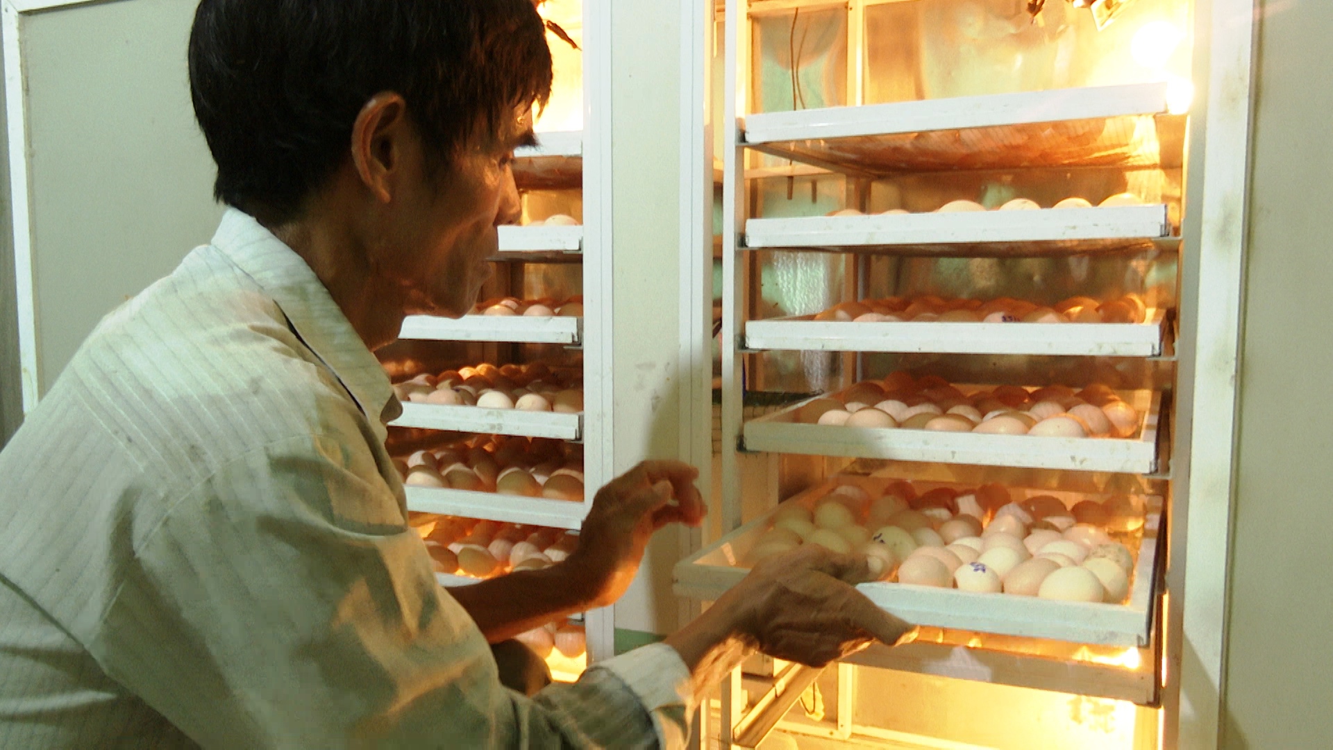 Quảng Nam: Lão nông 65 tuổi trở thành triệu phú nhờ nuôi gà thịt, gà đẻ - Ảnh 5.