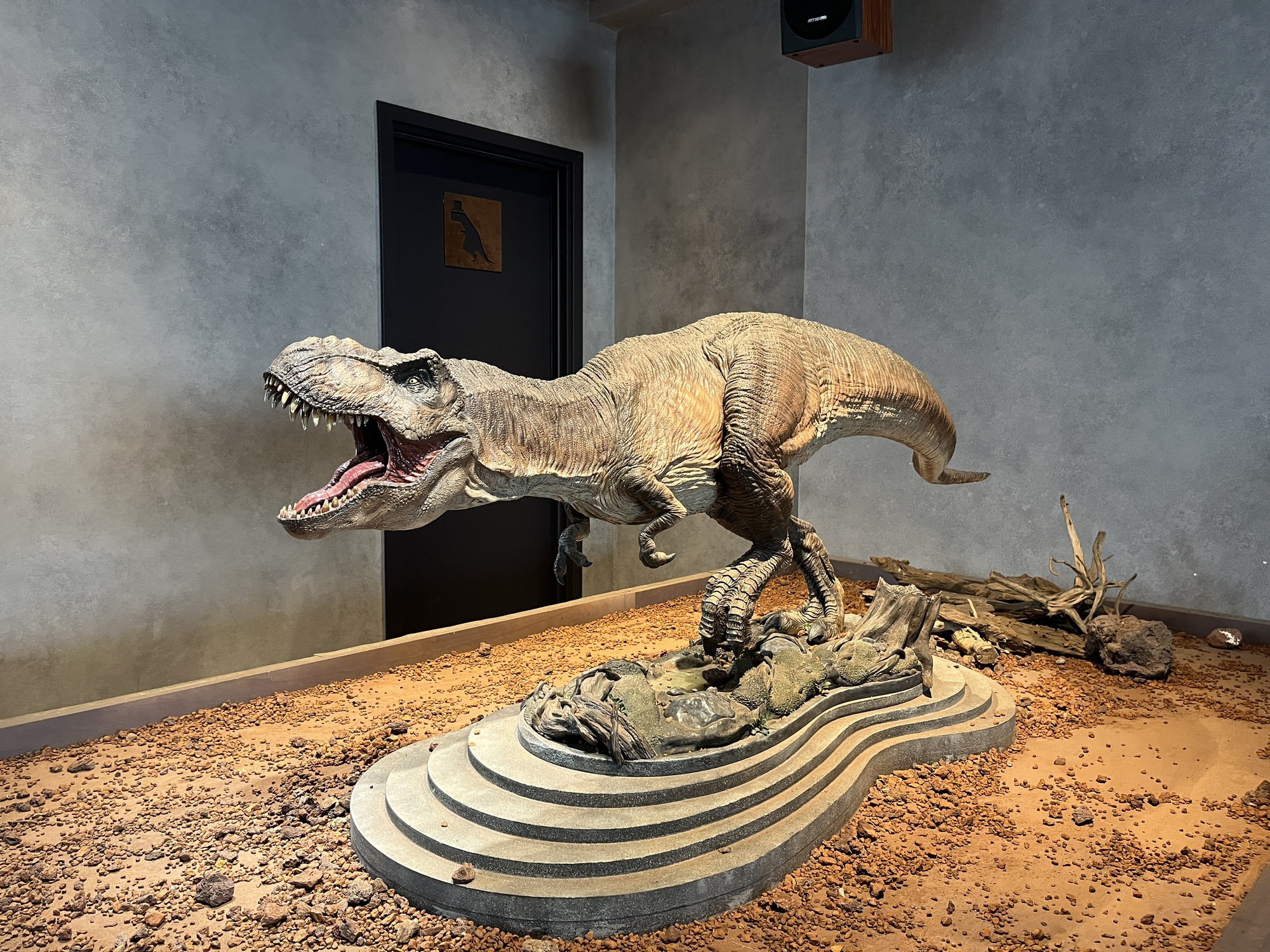 Độc đáo quán cà phê trưng bày mô hình khủng long, trị giá hàng tỷ đồng - Ảnh 3.
