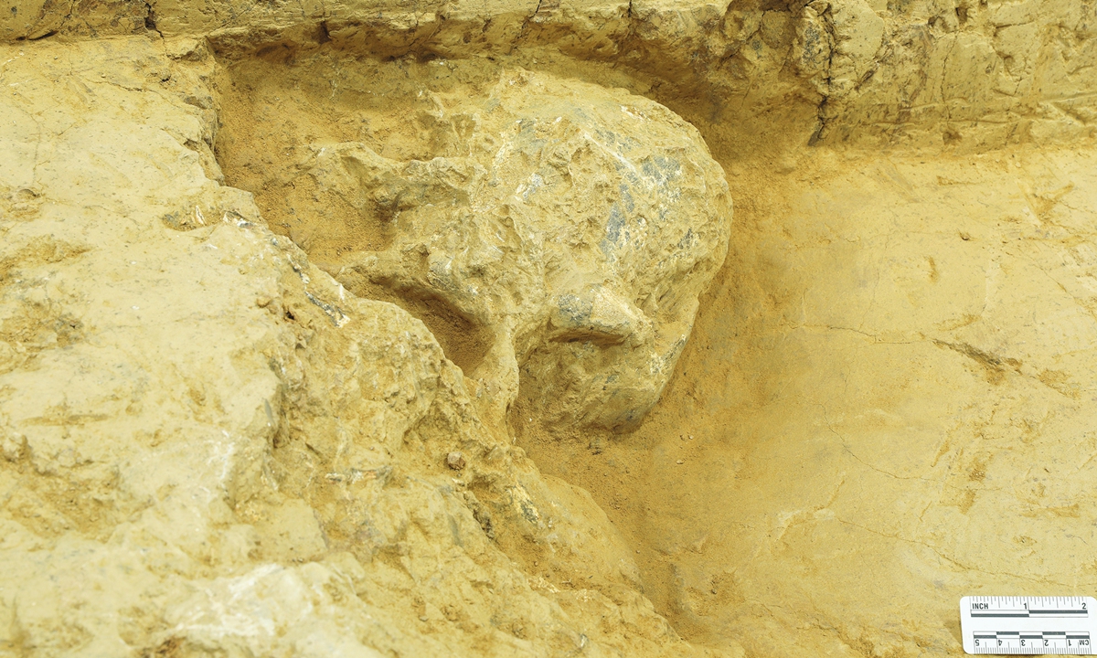 Khám phá hộp sọ của loài người đã tuyệt chủng cách đây 1 triệu năm - Ảnh 1.