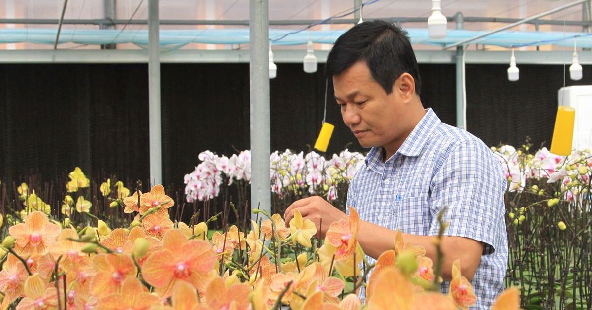 Quảng Trị: “Thạc sĩ trồng lan” được bổ nhiệm làm Phó Giám đốc Sở KHCN