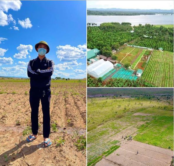 Cận cảnh nông trại xanh mướt rau củ của Quang Linh Vlog: Củ khoai tây to gấp 3-4 lần ở Việt Nam - Ảnh 13.