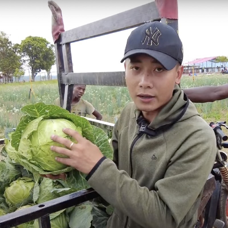Cận cảnh nông trại xanh mướt rau củ của Quang Linh Vlog: Củ khoai tây to gấp 3-4 lần ở Việt Nam - Ảnh 9.