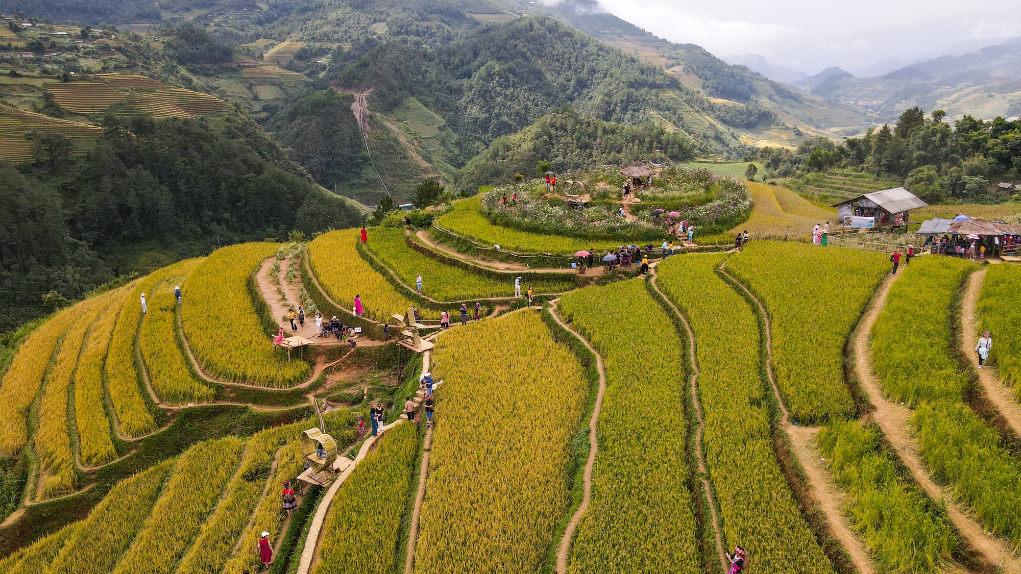 Khách tây, khách ta chen nhau chụp ảnh mùa vàng tại Mù Cang Chải - Ảnh 6.