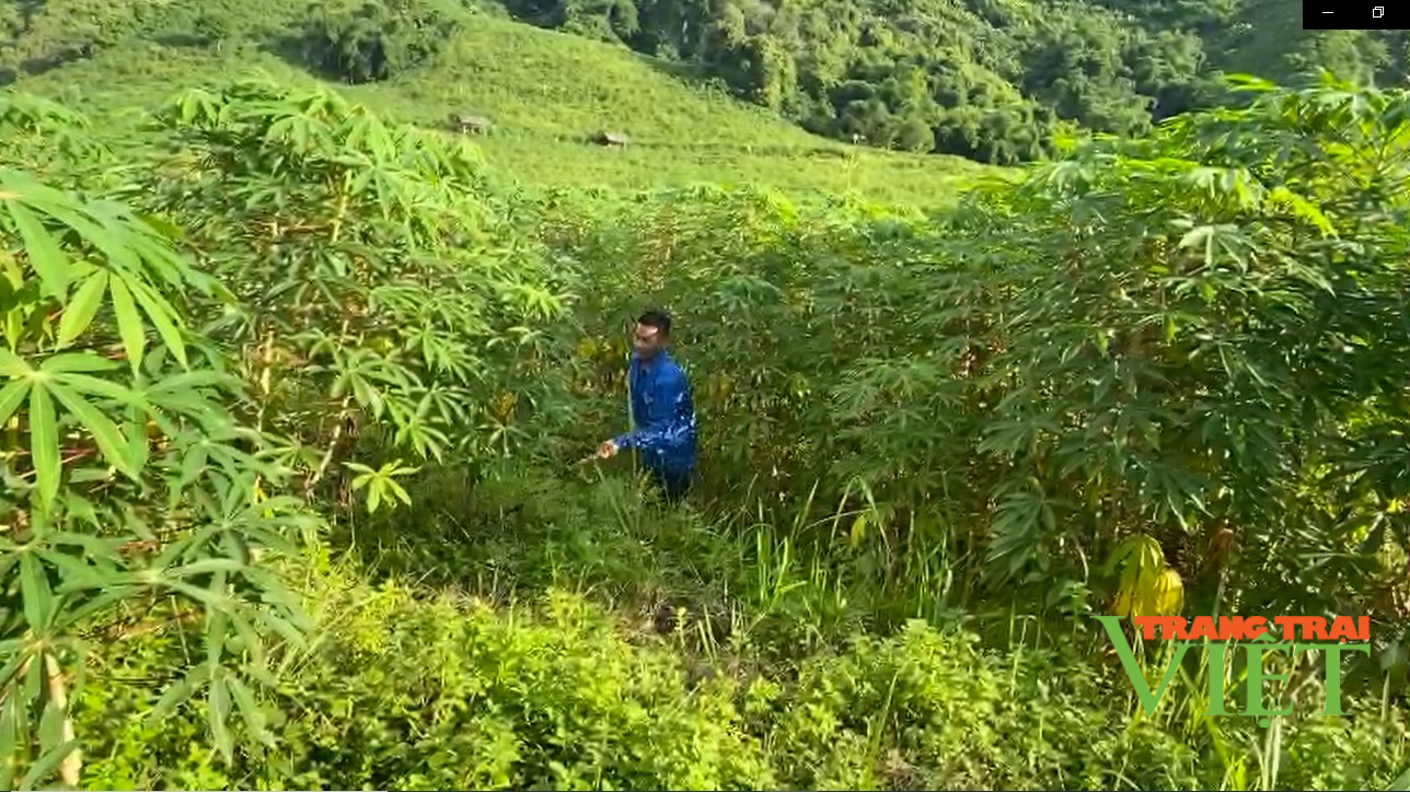 Lai Châu: Pa Khóa nỗ lực cán đích nông thôn mới - Ảnh 2.