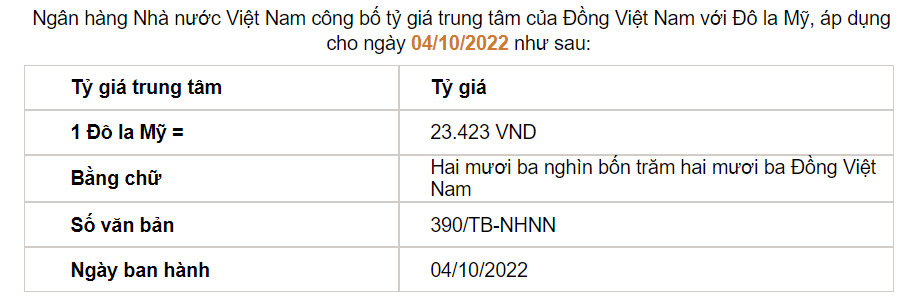 Tỷ giá USD/VND tăng không ngừng, không loại trừ khả năng lãi suất điều hành tiếp tục tăng - Ảnh 1.