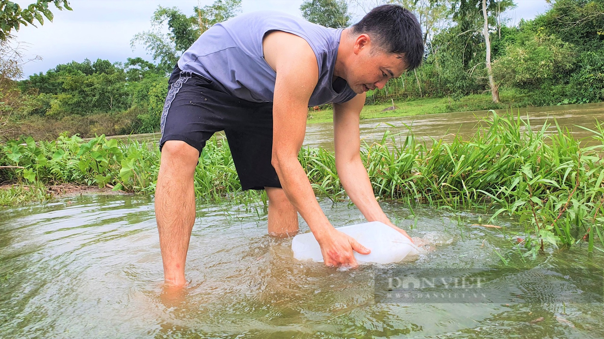 Hà Tĩnh: Về với người dân miền núi, để xem người dân &quot;săn&quot; dế mèn - Ảnh 2.