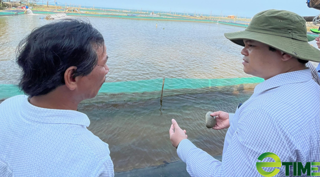 Quảng Ngãi: Cho Công ty đầu tư năng lượng thuê 30,9ha làm dự án nuôi tôm trên cát  - Ảnh 3.