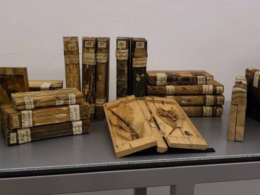 Những thư viện sách gỗ kỳ lạ &quot;có một không hai&quot; - Ảnh 1.