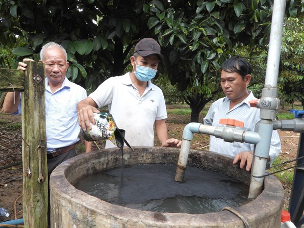 Nông dân ở Bình Phước &quot;hô biến&quot; máy cày thành máy phun thuốc đa năng cho vườn sầu riêng tiền tỷ - Ảnh 5.