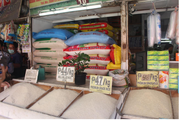 Gạo Việt &quot;đánh bại&quot; gạo Thái, tạo vị thế vững chắc tại thị trường Philippines - Ảnh 1.