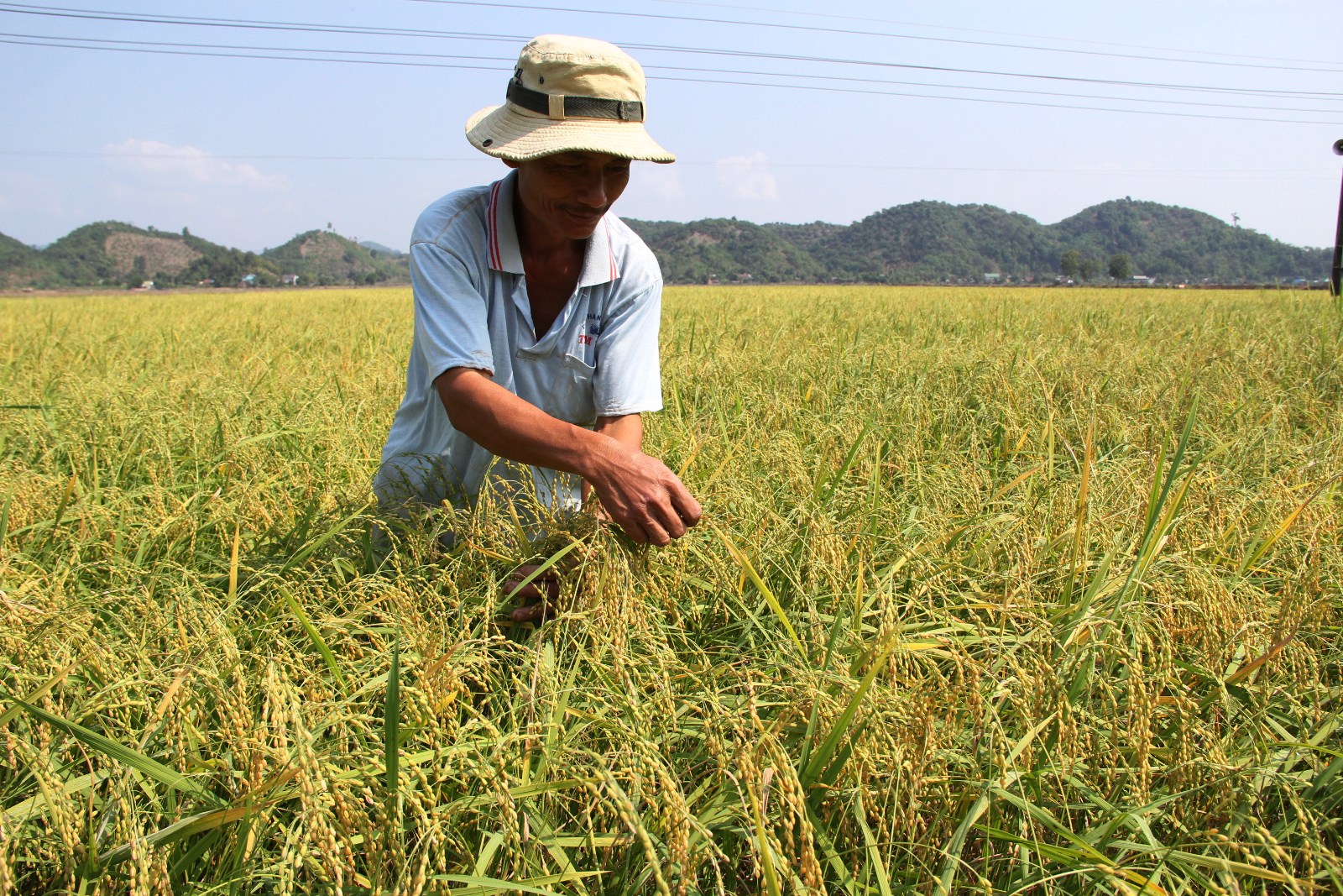 Chương trình OCOP ở Lâm Đồng: Phát triển sản phẩm gắn với xây dựng vùng nguyên liệu nông sản - Ảnh 3.