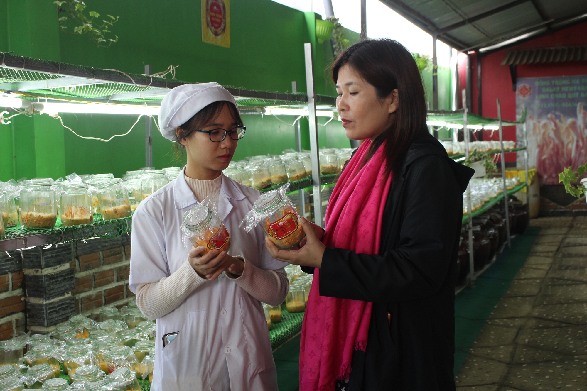 Chương trình OCOP ở Lâm Đồng: Phát triển sản phẩm gắn với xây dựng vùng nguyên liệu nông sản - Ảnh 1.
