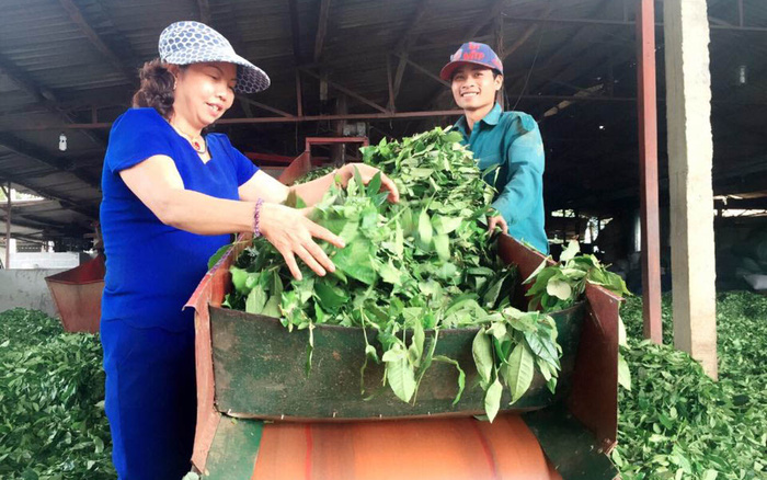 Những nông dân 2 lần được vinh danh “Nông dân Việt Nam xuất sắc”. - Ảnh 4.