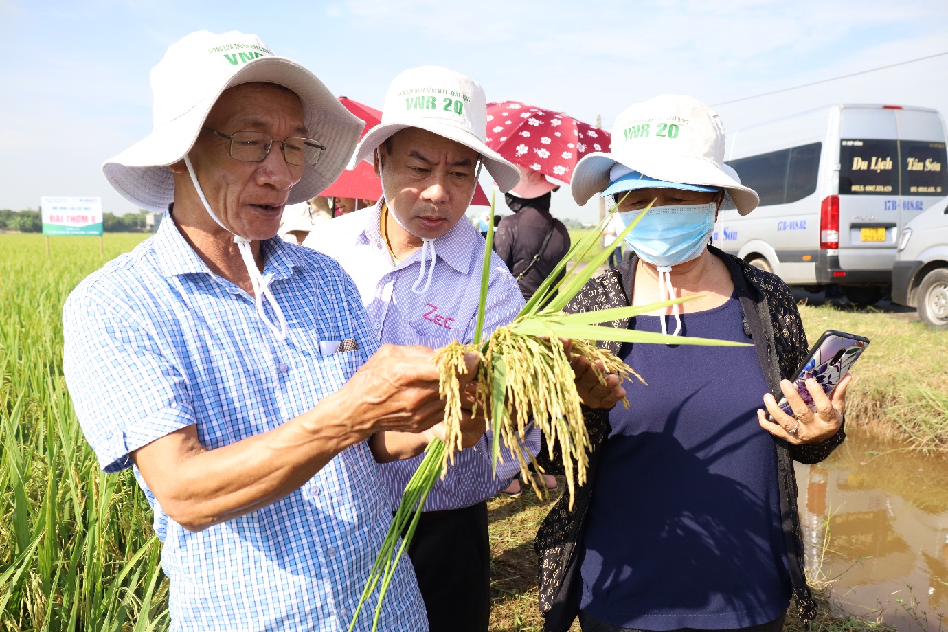 Vì sao gạo Đài Thơm 8 lại được chọn làm sản phẩm OCOP của vựa lúa Thái Bình - Ảnh 1.