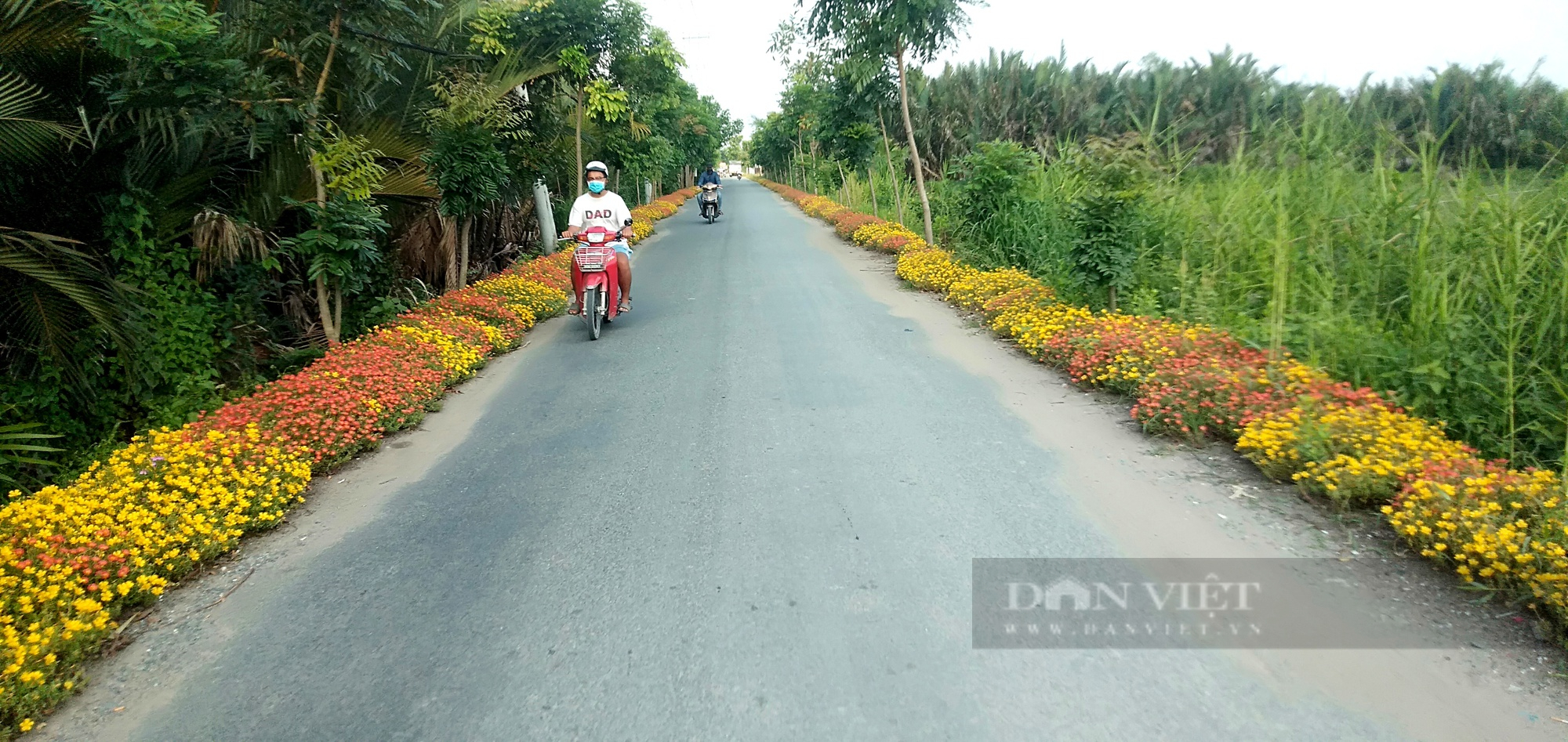 Quy hoạch nông thôn mới đứt gãy, TP.HCM đề xuất nhiều giải pháp - Ảnh 4.