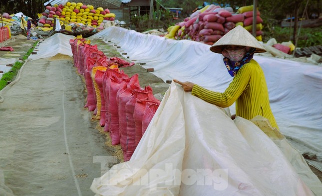 Giá gạo Việt Nam tăng vượt Thái Lan, gạo 100% tấm 'cháy' hàng - Ảnh 2.