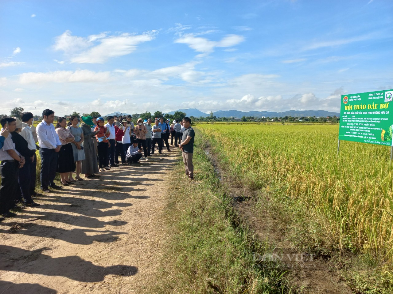 Gia Lai: Đánh giá mô hình trồng lúa ST24 tại huyện Phú Thiện - Ảnh 4.
