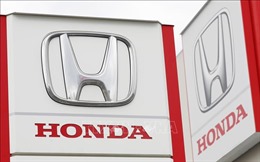 Honda Việt Nam triệu hồi hơn 400 xe ô tô Civic và HR-V - Ảnh 1.