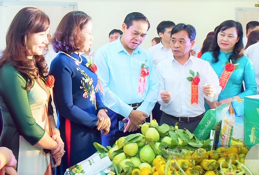 Nông dân Hà Tĩnh thi đua sản xuất, kinh doanh giỏi, đoàn kết giúp nhau làm giàu và giảm nghèo bền vững - Ảnh 2.