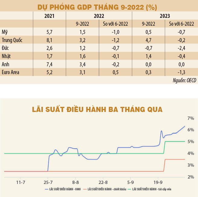 Chuẩn bị cho những áp lực mới - Ảnh 1.