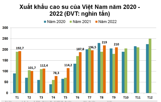 Giá cao su hôm nay 7/10: Cao su tăng giảm trái chiều, 9 tháng, xuất khẩu cao su thu về hơn 2,3 tỷ USD - Ảnh 3.