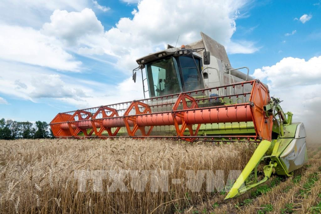 Ukraine dự báo sản lượng ngũ cốc có thể giảm 50% trong năm 2023 - Ảnh 1.
