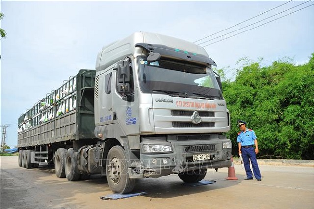 Cục Đường bộ Việt Nam đề nghị 'siết' kiểm tra trọng tải xe - Ảnh 1.