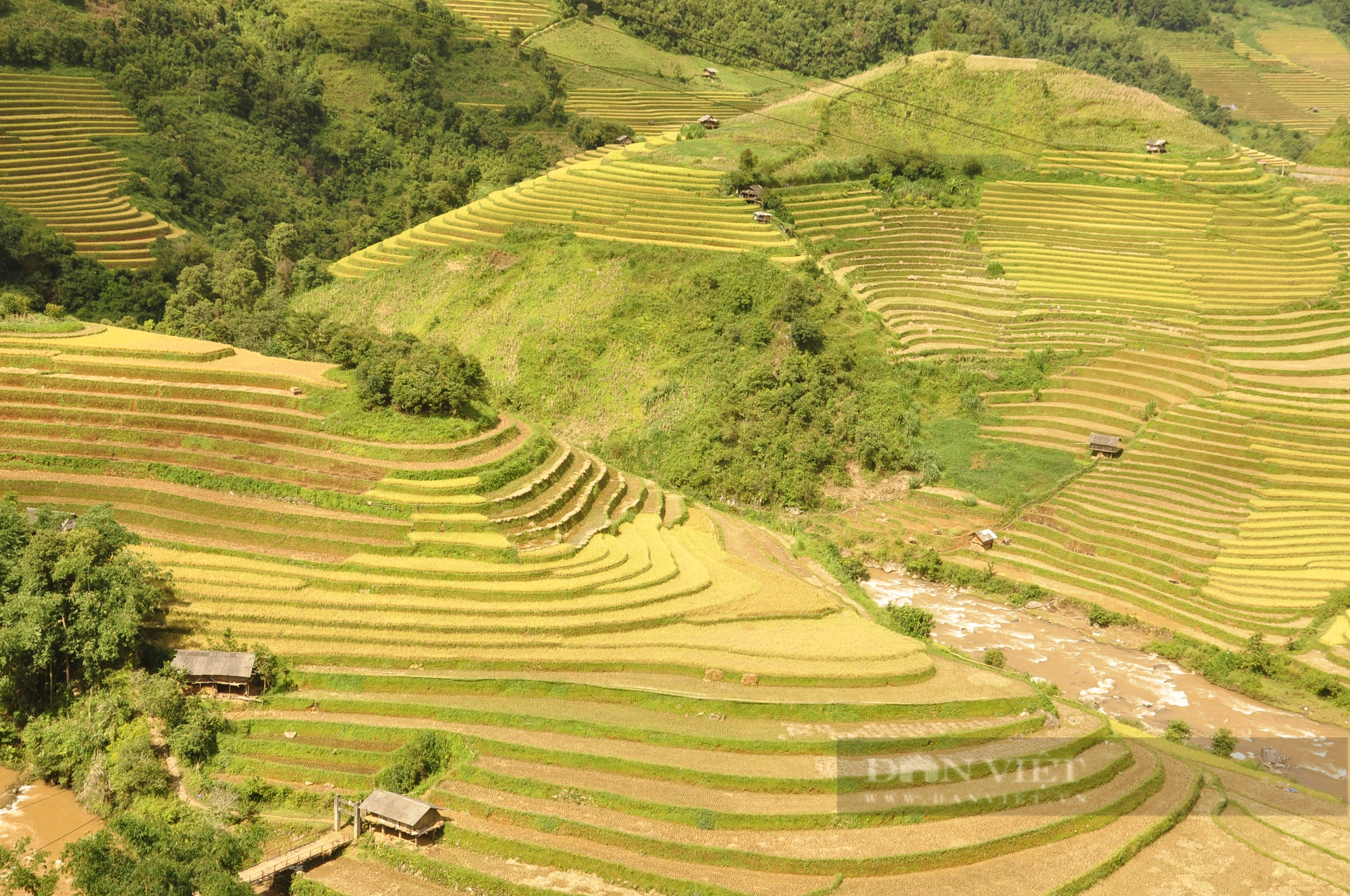 Ngẩn ngơ ngắm ruộng bậc thang Mù Cang Chải vào &quot;mùa vàng&quot;  - Ảnh 1.