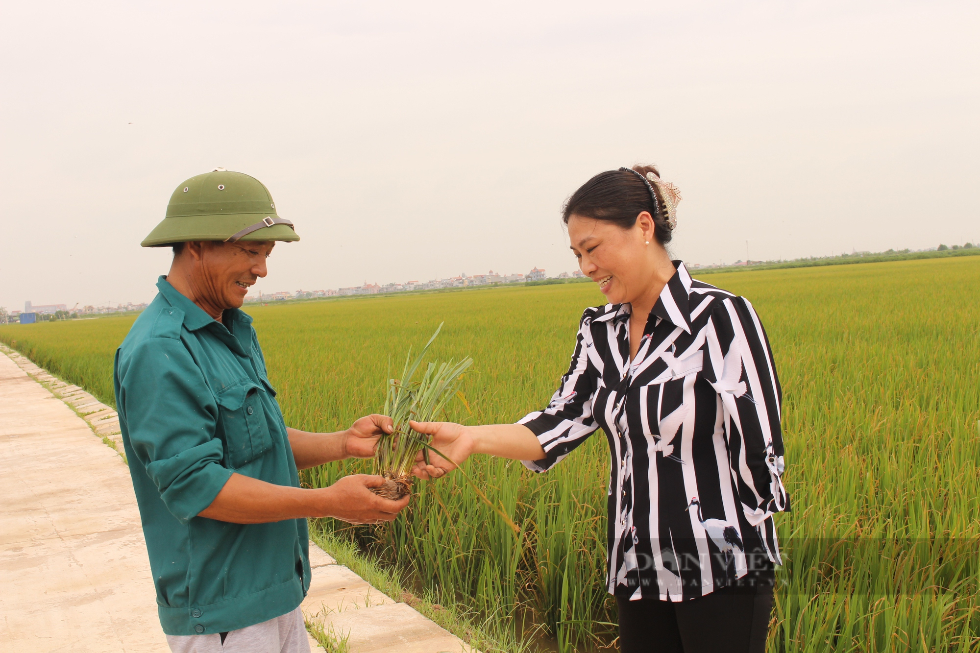 Những &quot;bông hồng&quot; quyền lực, có nữ Nông dân Việt Nam xuất sắc là tỷ phú nuôi tôm, đưa xoài đi xuất khẩu  - Ảnh 1.