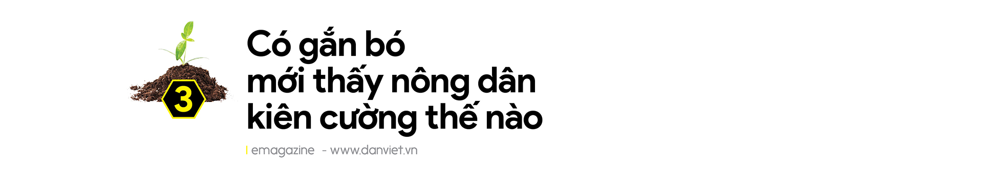 Tổng Giám đốc Bình Điền - ông Ngô Văn Đông: Đặt cho mình sứ mệnh đồng hành và chia sẻ với nông dân - Ảnh 6.