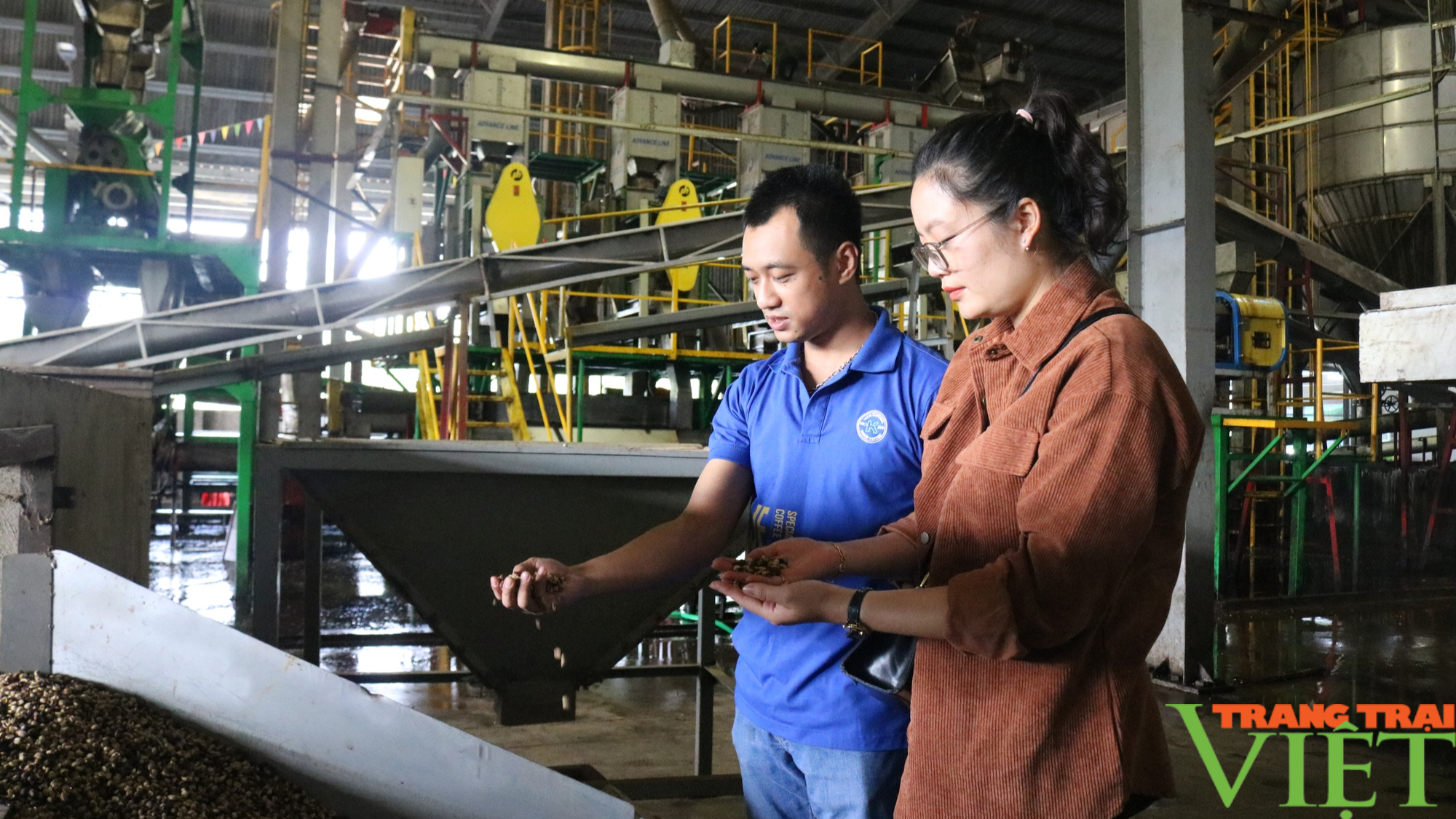 Sơn La: Bàn giải pháp nâng cao chất lượng Cà phê - Ảnh 7. Sơn La: Bàn giải pháp nâng cao chất lượng Cà phê - Ảnh 7.