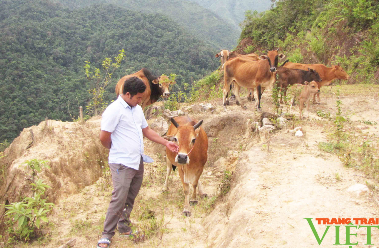 Nguồn lợi để người dân Lai Châu bảo vệ rừng - Ảnh 2.
