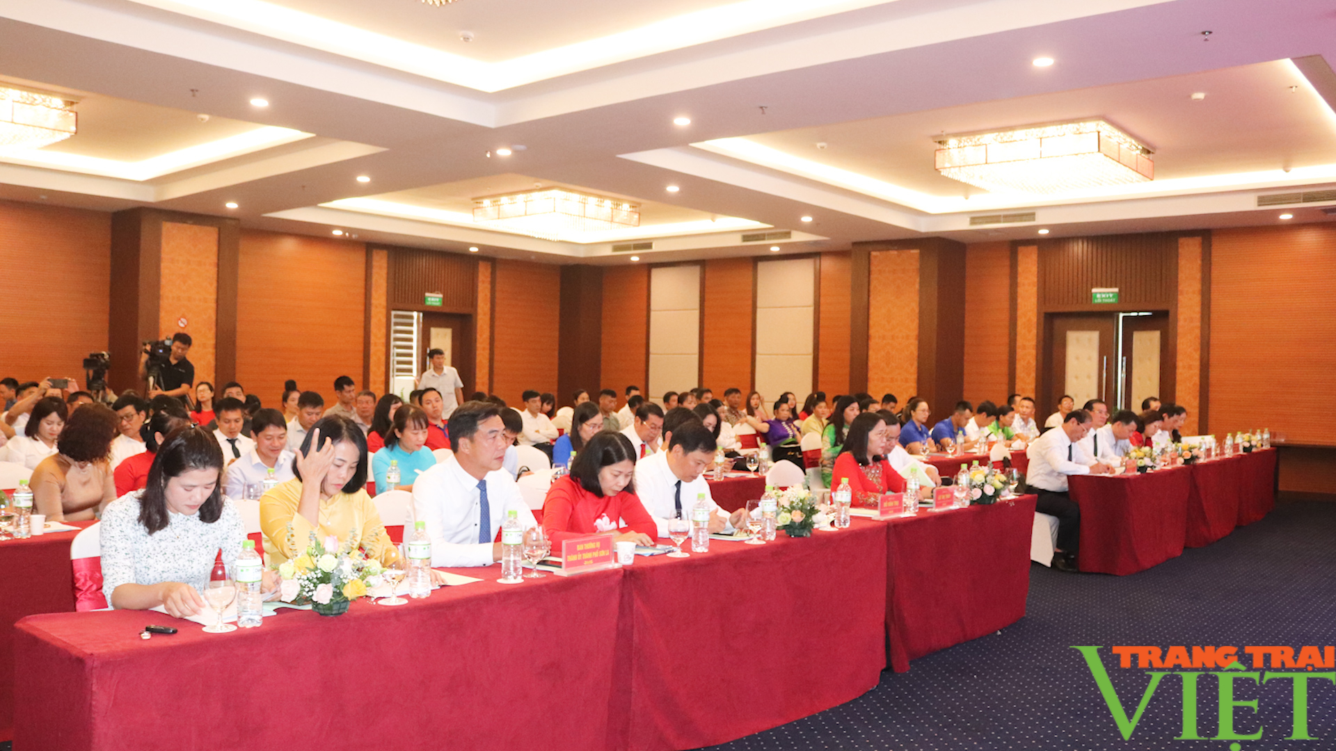 Sơn La: Bàn giải pháp nâng cao chất lượng Cà phê - Ảnh 5. Sơn La: Bàn giải pháp nâng cao chất lượng Cà phê - Ảnh 5.