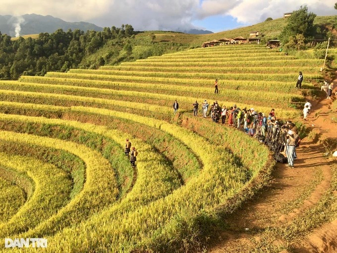 Du khách dậy từ mờ sáng đi săn ảnh đẹp ruộng Mâm Xôi ở Mù Cang Chải - Ảnh 1.