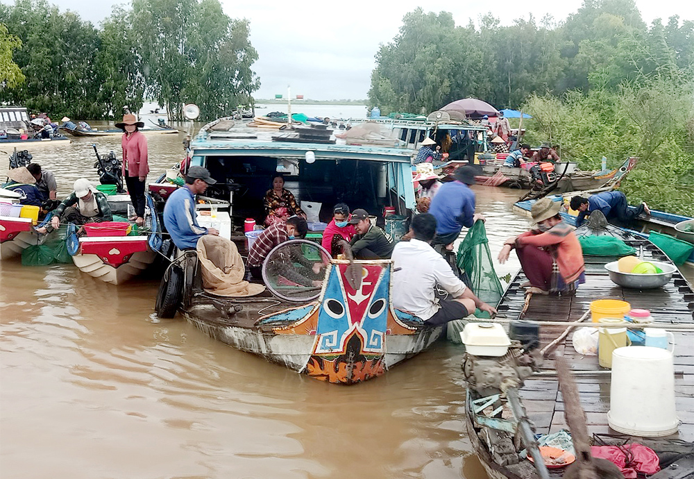 An Giang: Sản vật mùa nước nổi là bao loài tôm, cá, cua, ốc,... đặc sản, dân ra đánh bắt, kiếm tiền mưu sinh - Ảnh 11.