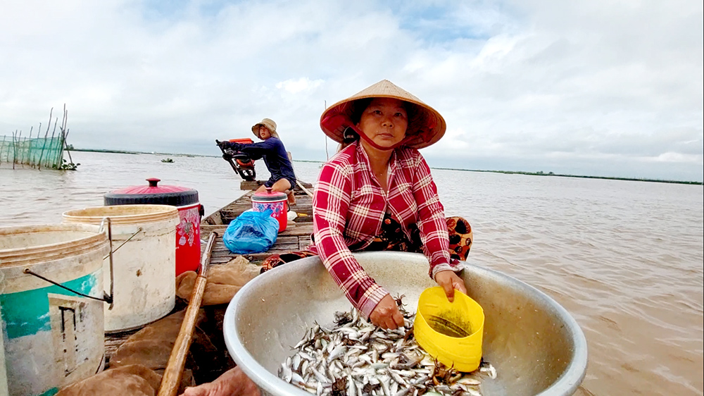 An Giang: Sản vật mùa nước nổi là bao loài tôm, cá, cua, ốc,... đặc sản, dân ra đánh bắt, kiếm tiền mưu sinh - Ảnh 4.