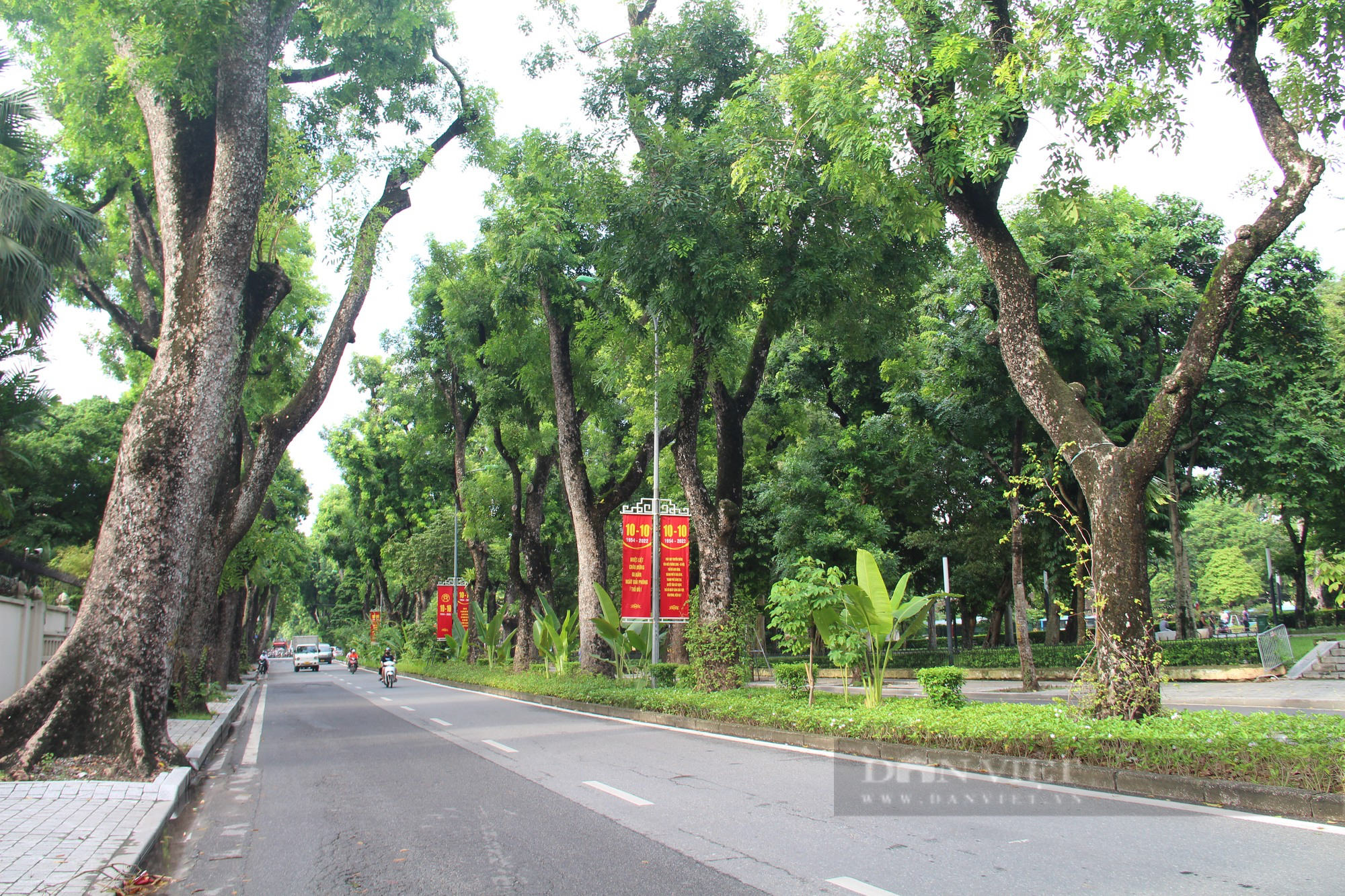 Phố cây xanh Hà Nội là nơi thơ mộng nhất của thủ đô Việt Nam. Khung cảnh yên bình với hàng cây bóng mát và không khí trong lành sẽ khiến bạn cảm thấy thư thái sau những giờ phút căng thẳng. Hãy nhấp chuột xem bức ảnh mang đậm nét đẹp của phố cây xanh Hà Nội.