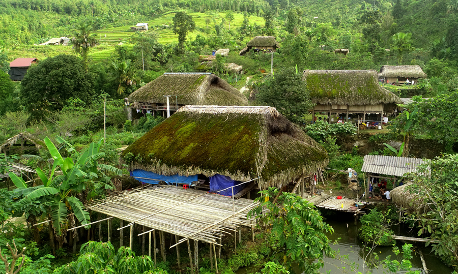 Làng ở Hà Giang thấy lạ lắm, tất cả các mái nhà đều mọc kín một thứ &quot;cỏ&quot; mượt như nhung, đổi màu theo mùa - Ảnh 3.