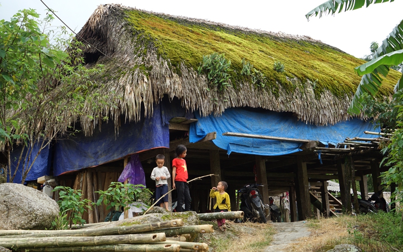 Làng ở Hà Giang thấy lạ lắm, tất cả các mái nhà đều mọc kín một thứ &quot;cỏ&quot; mượt như nhung, đổi màu theo mùa
