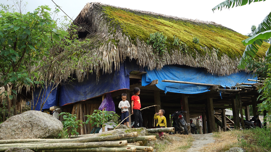 Làng ở Hà Giang thấy lạ lắm, tất cả các mái nhà đều mọc kín một thứ &quot;cỏ&quot; mượt như nhung, đổi màu theo mùa - Ảnh 10.