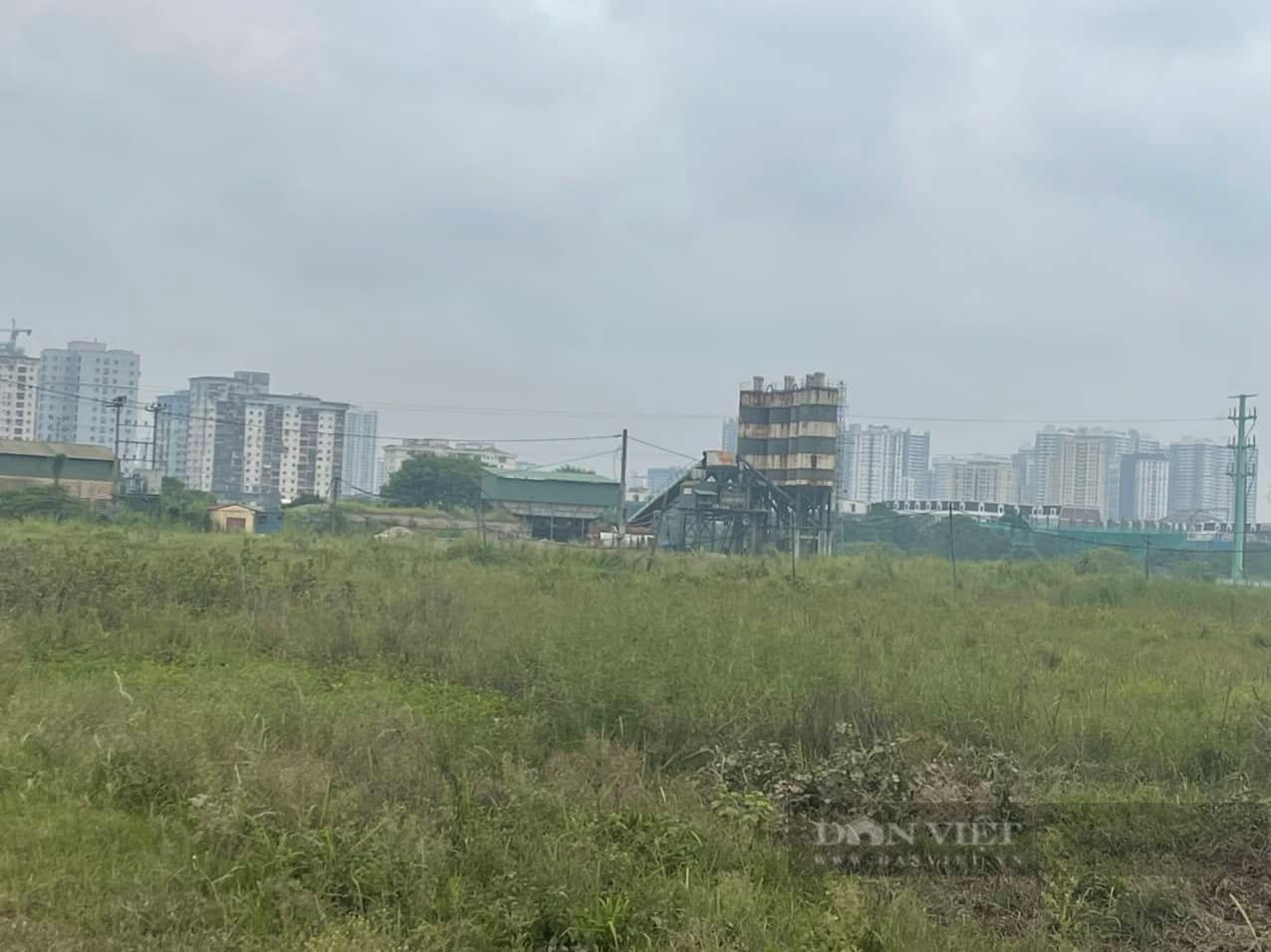 Khu đô thị mới Thịnh Liệt chỉ là bãi đất hoang để cỏ mọc 20 năm nay (Ảnh: Quang Anh)
