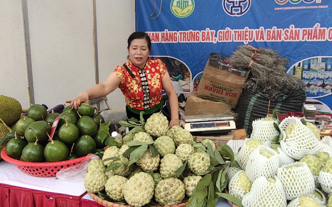 Thưởng thức trái na &quot;khủng&quot;, bơ &quot;khủng&quot; ăn mãi không hết tại Tuần hàng OCOP, đặc sản vùng miền Hà Nội