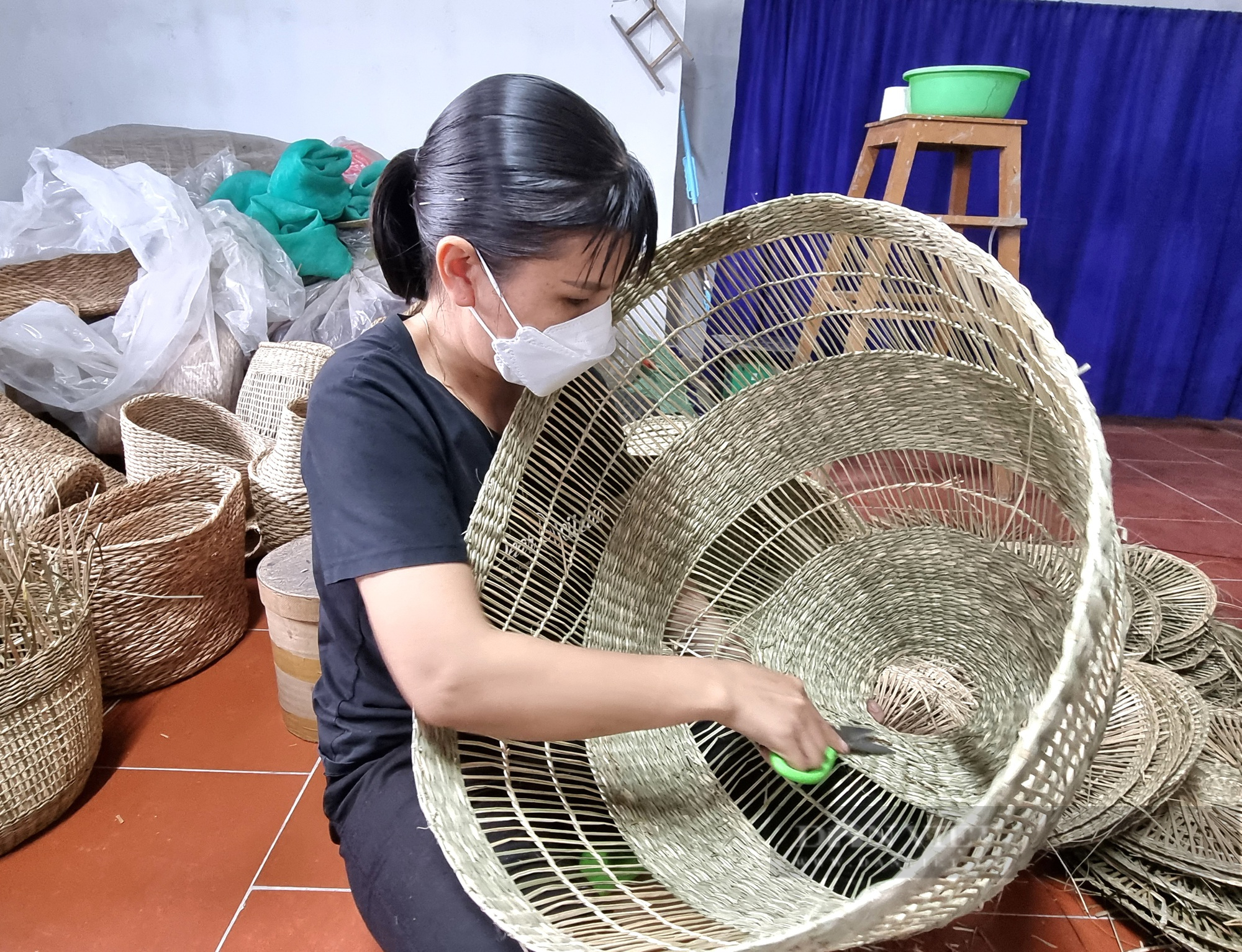 Ninh Bình: Một nông dân sản xuất kinh doanh giỏi dạy nghề, tạo việc làm cho hơn 100 hội viên, nông dân - Ảnh 5.