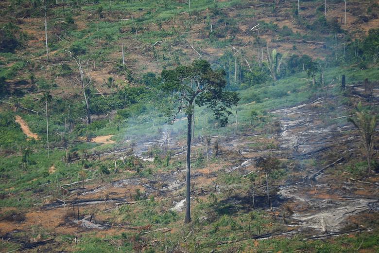 Loạt ảnh về thảm họa cháy rừng nhiệt đới Amazon - Ảnh 2.