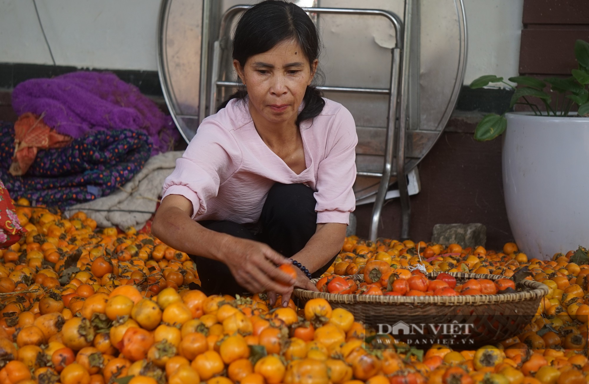 Cận cảnh quá trình thu hoạch, sơ chế thứ quả giòn tan, ngọt thanh mà nhà nhà đều mê  - Ảnh 8.