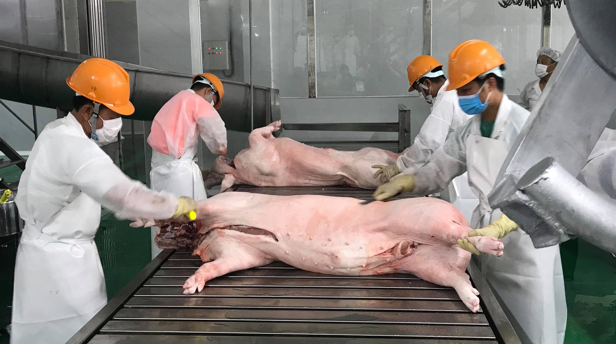 Giá lợn hơi dự báo tăng lên 70.000 đồng/kg, càng về cuối năm càng tăng? - Ảnh 1.